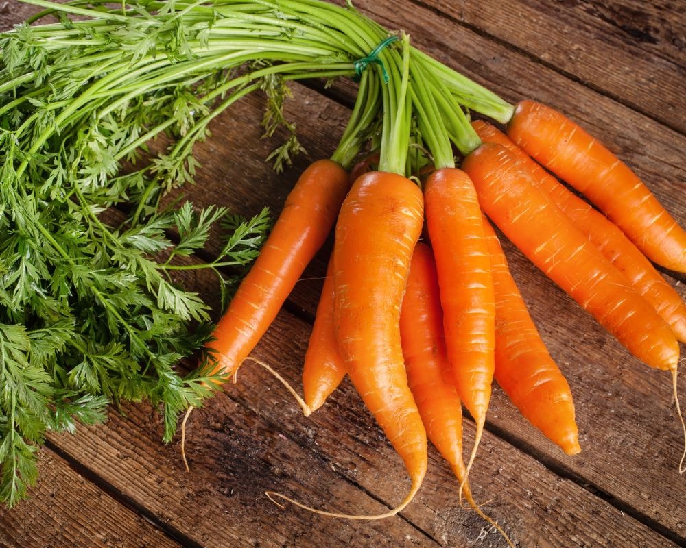 Cà rốt