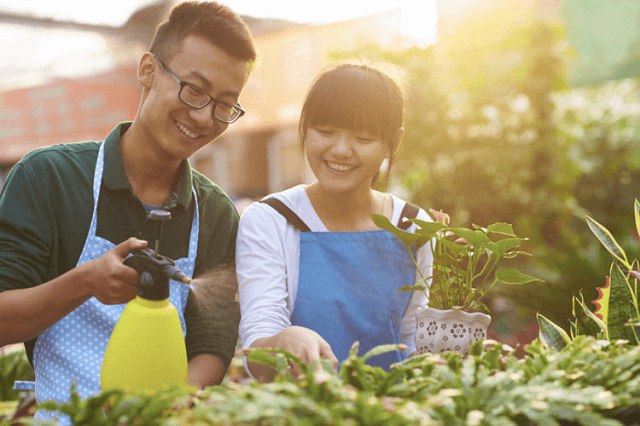 Sự tiến hóa của con người ủng hộ sự phát triển và sinh sản, không phải sống đến tuổi thọ cao quá mức