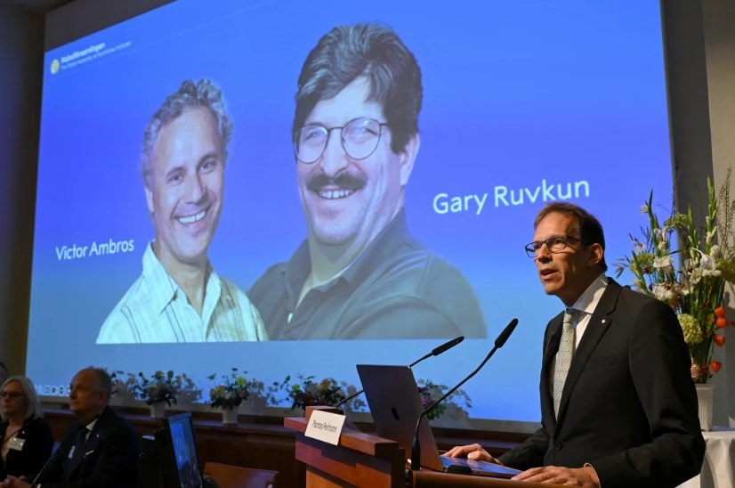 Giải Nobel Y học 2024 tôn vinh Victor Ambros và Gary Ruvkun nhờ những khám phá của họ về microRNA
