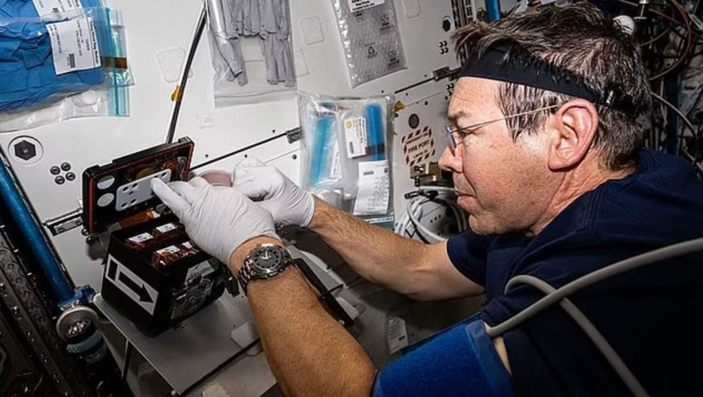 Phi hành gia NASA Mike Barratt xử lý các mẫu organoid não trên ISS cho một dự án nghiên cứu khác được thực hiện trong năm nay