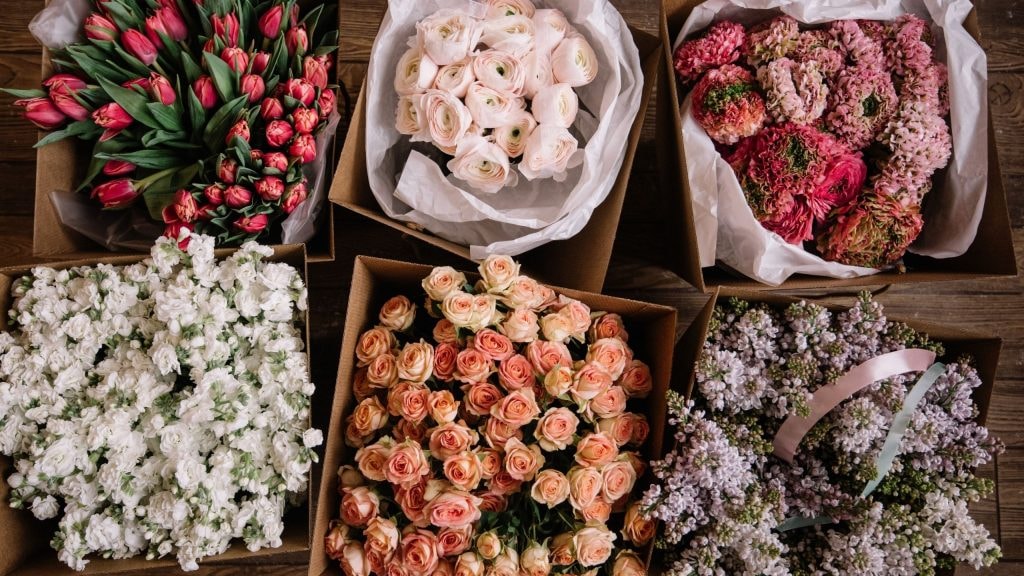 Valentine sẽ trở nên