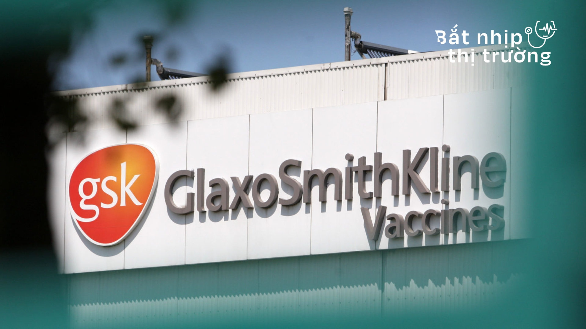 FDA phê duyệt vaccine viêm màng não do não mô cầu “5 trong 1” của GSK 
