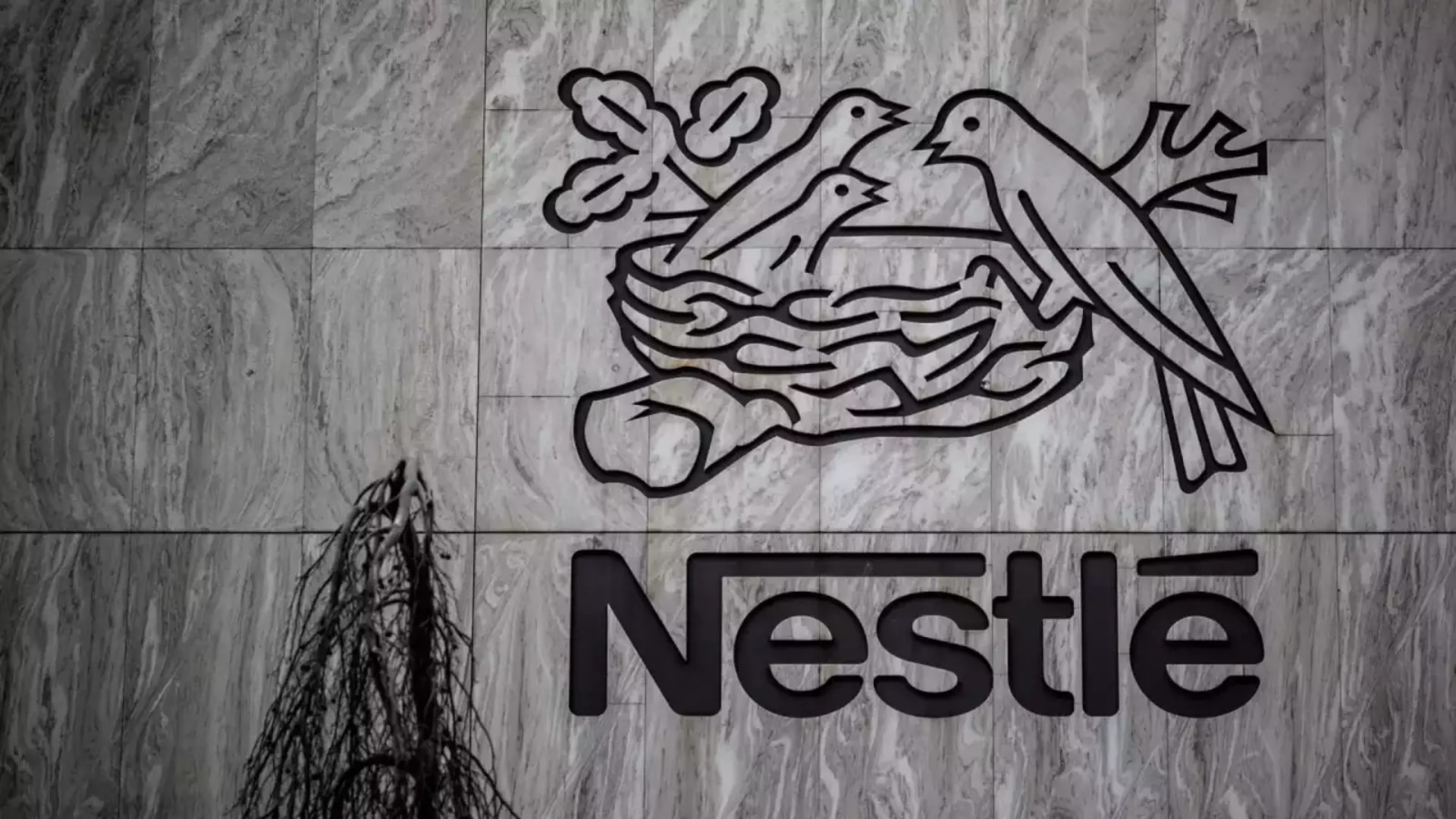 công ty Nestle đóng cửa hai nhà máy tại Đức