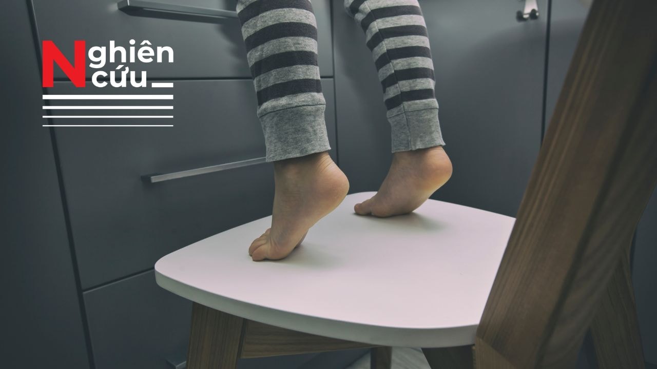 Vì sao người trẻ thường thích sự mạo hiểm? 