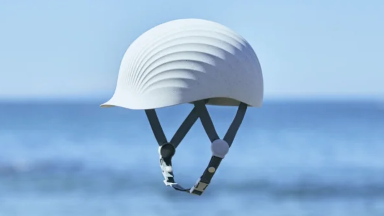 shellmet.jpg
