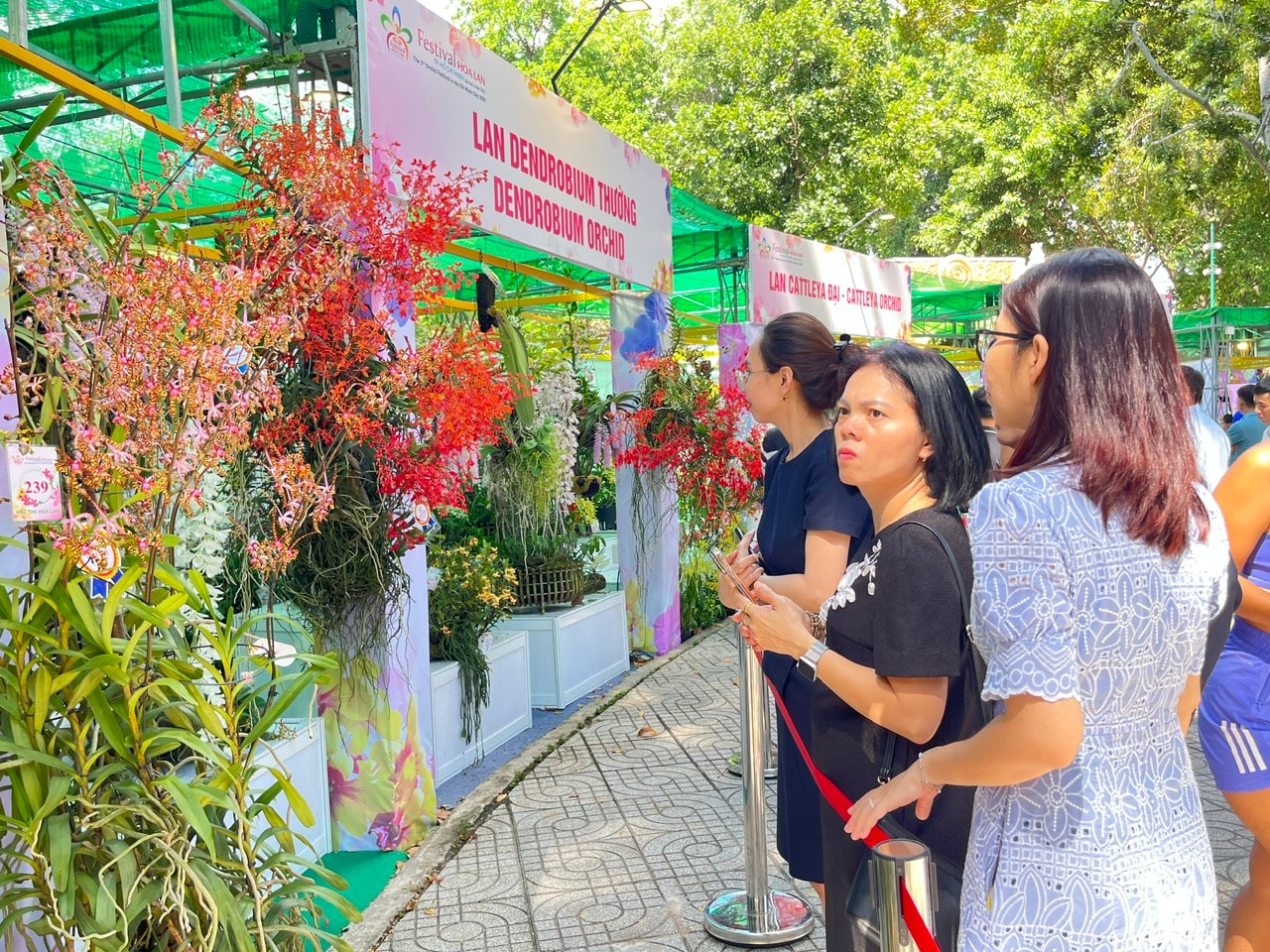 Lễ hội hoa lan hoành tráng nhất TP HCM: Có gì ở "Chuyến tàu đa sắc" năm nay? - Ảnh 6.