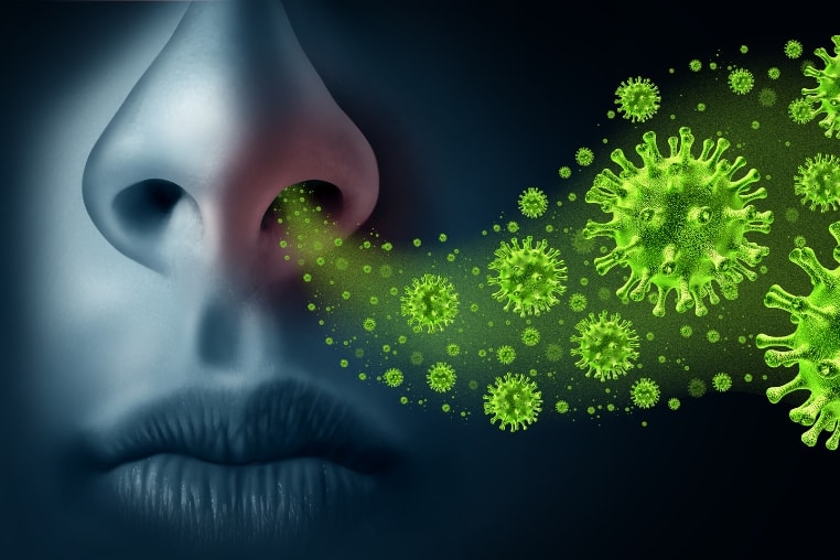 influenza-virus.jpg