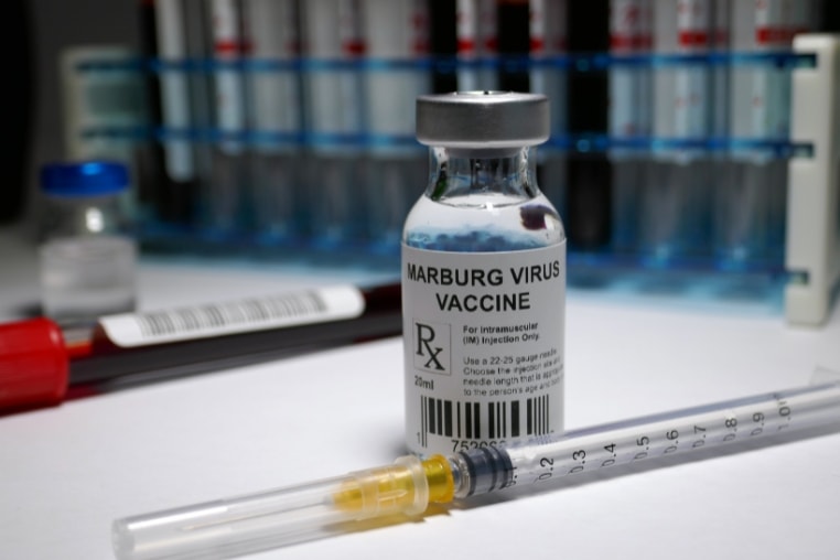 marburg-virus.jpg