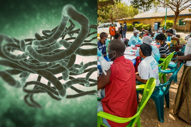 virus-ebola.jpg