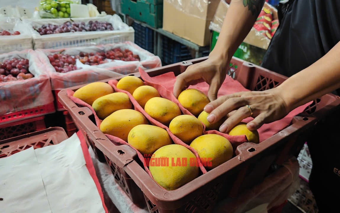 Mới đầu mùa, hàng trăm tấn xoài Trung Quốc đổ bộ TP HCM - Ảnh 1.