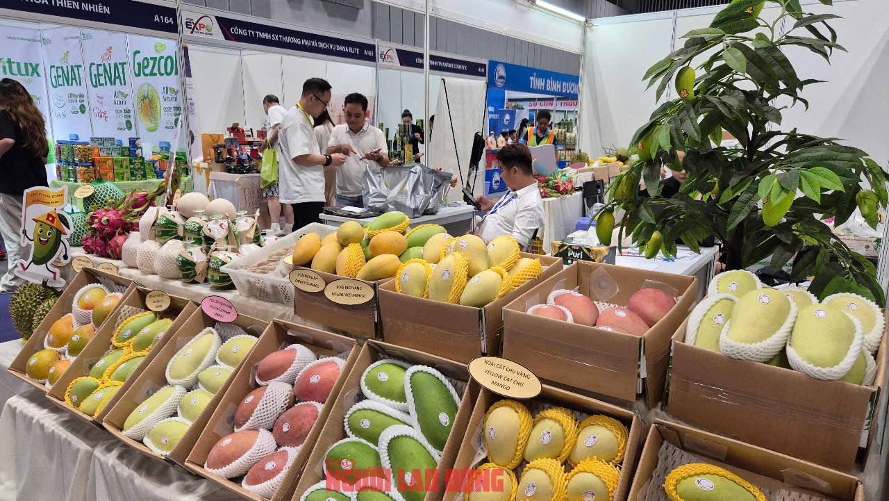 Mới đầu mùa, hàng trăm tấn xoài Trung Quốc đổ bộ TP HCM - Ảnh 2.