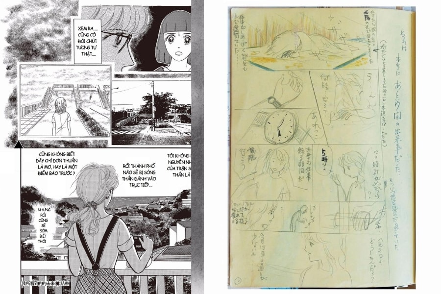 Nội dung của cuốn manga The Future I saw (Raw: Huy Lâm; Trans: Brilliant Moon)