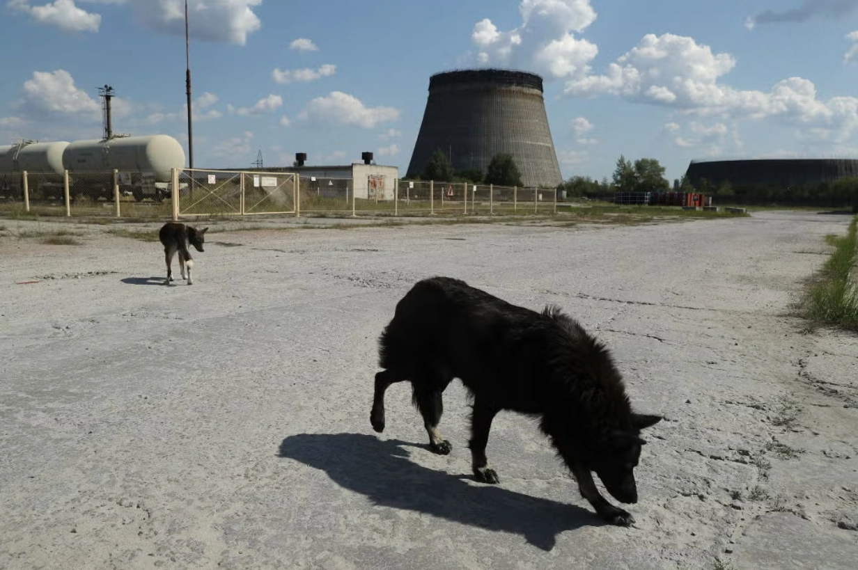 Chernobyl
