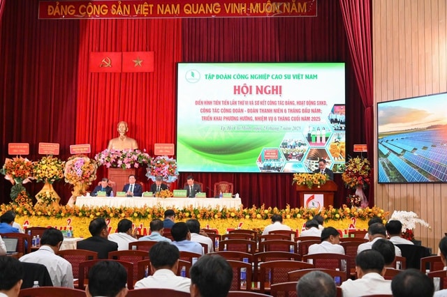 Lợi nhuận VRG tăng 31 , 5 % đạt 2 . 502 Tỉ đồng trong 6 tháng đầu năm 2025 - Ảnh 3.