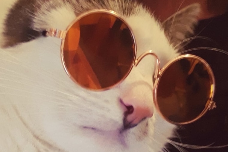 cool-ngau.jpg