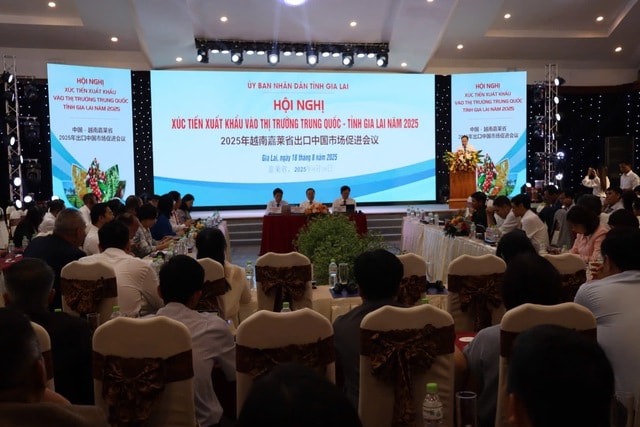 Nông sản Gia Lai rộng đường xuất khẩu chính ngạch sang thị trường Trung Quốc- Ảnh 2.