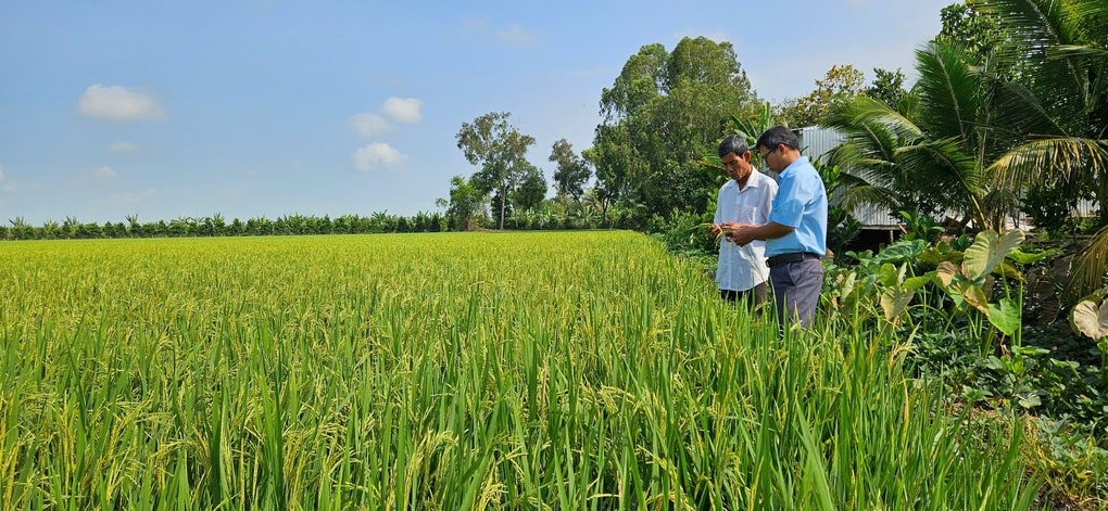 Đồng Tháp: Từ “Làng thông minh” đến nền nông nghiệp hiện đại - 1 Đồng Tháp: Từ “Làng thông minh” đến nền nông nghiệp hiện đại - 1