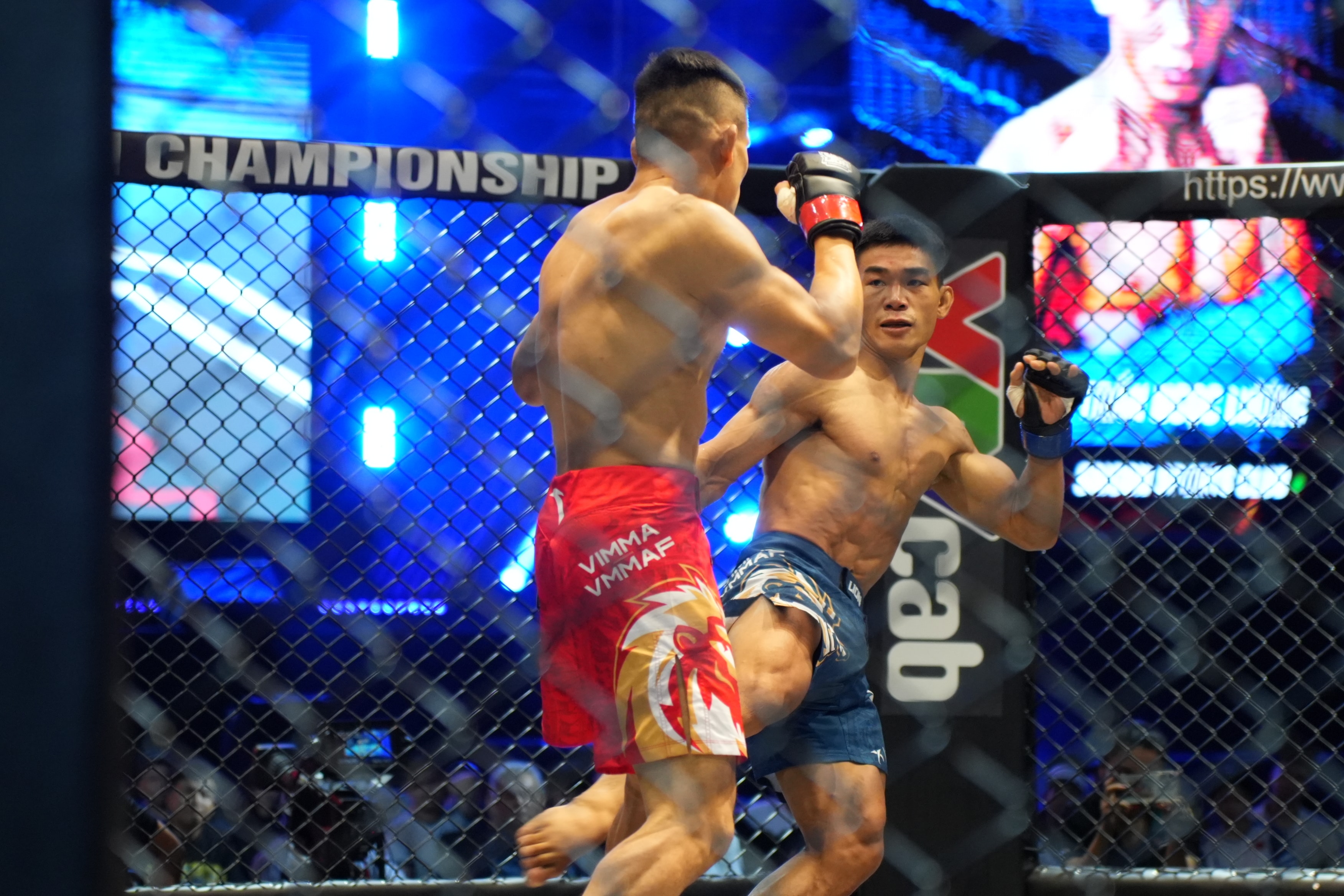 Trần Ngọc Lượng (quần xanh) thắng bằng đòn đá tầm thấp (low kick).