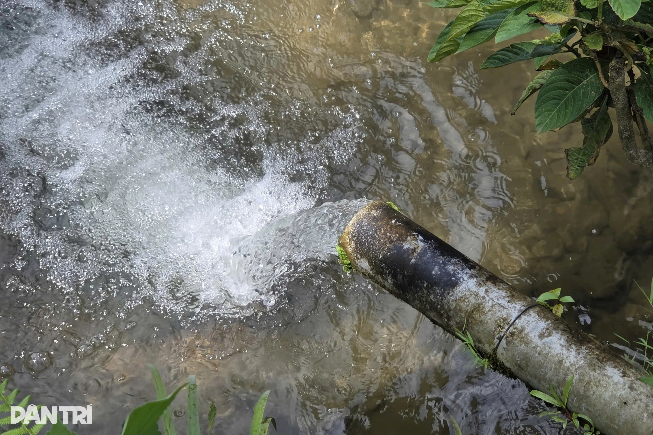 Lão nông chỉ học hết lớp 3, thành đại gia nhờ nhân giống loài cá đặc sản - 5