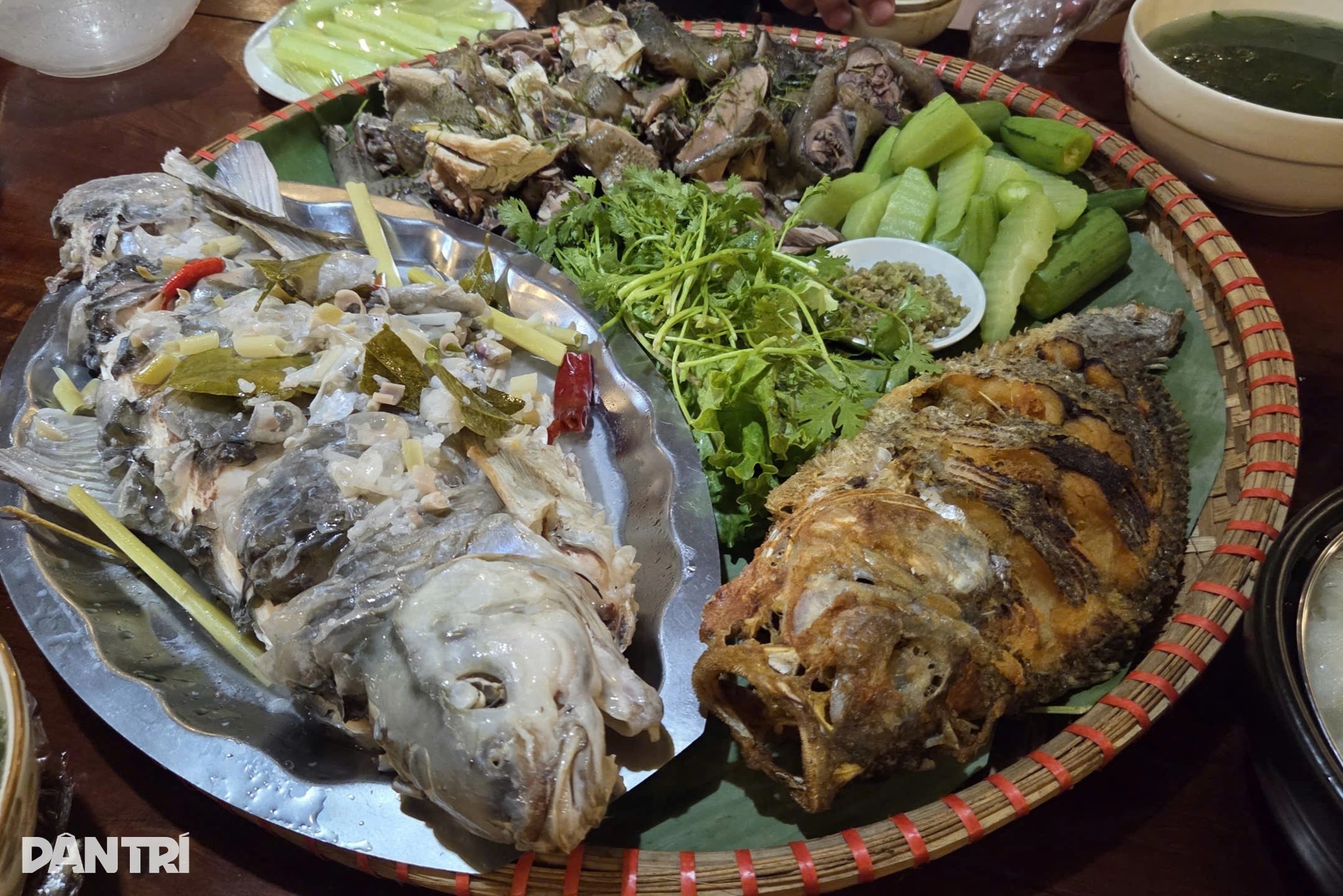 Lão nông chỉ học hết lớp 3, thành đại gia nhờ nhân giống loài cá đặc sản - 7