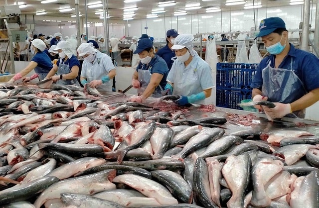 NHNN nâng quy mô gói tín dụng nông, lâm, thủy sản lên 185.000 tỷ đồng - Ảnh 1.