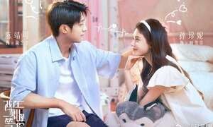 Lịch chiếu phim Tôi ở đỉnh cao đợi cậu