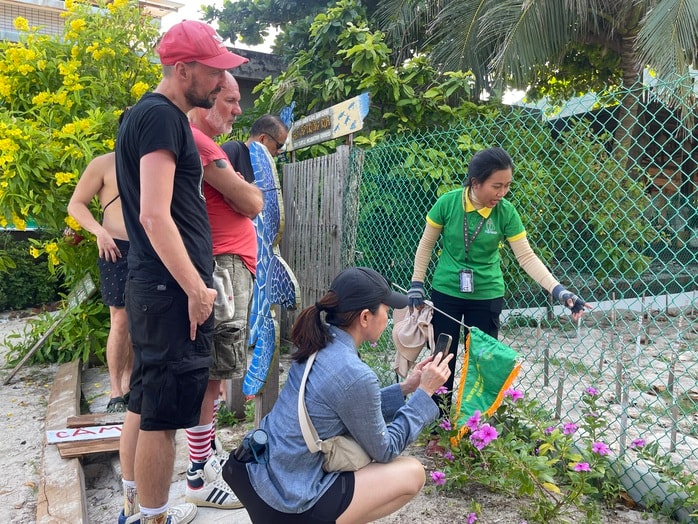 Xem rùa biển đẻ trứng và thả rùa con về biển tại Côn Đảo- Ảnh 3. Xem rùa biển đẻ trứng và thả rùa con về biển tại Côn Đảo- Ảnh 3.