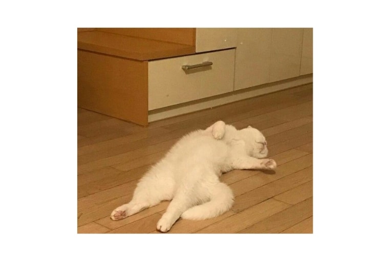 nam-thang.jpg