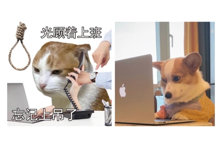 stress-vi-cong-viec.jpg