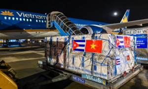 Bạn và tôi có thể đã được uống sữa bò, tiêm kháng sinh Cuba giữa lúc khó khăn