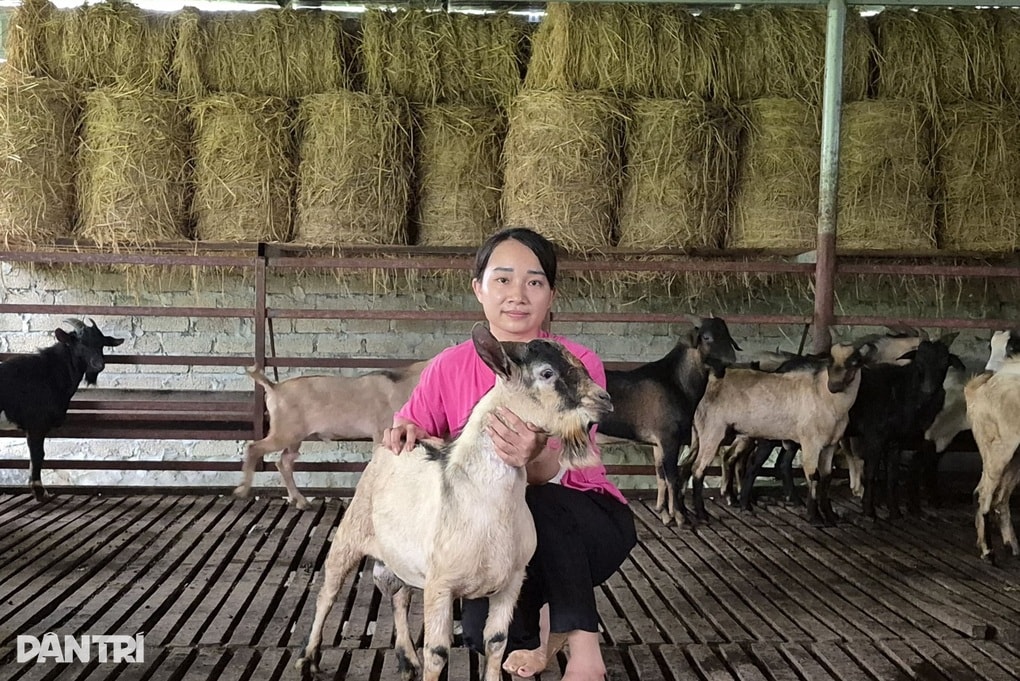 Cả thôn thu nhập cao nhờ nuôi “kho thuốc bổ biết đi” - 1