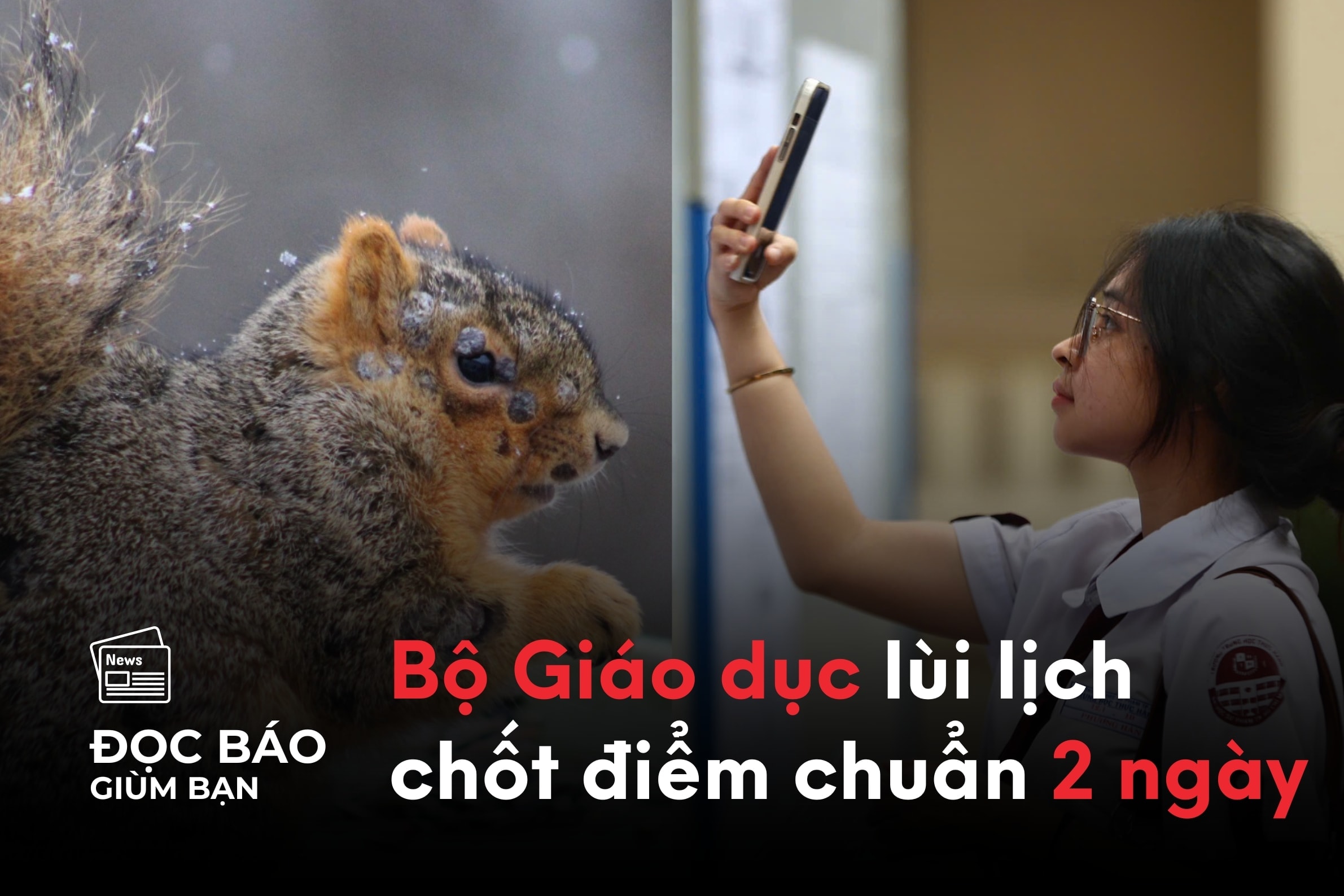 doc-bao-gium-ban-32.jpg