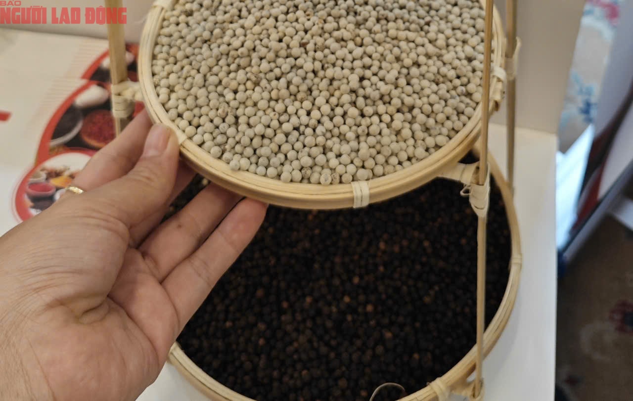 Giá tiêu Đắk Lắk tăng mạnh trở lại , nông dân hưởng lợi từ chính sách thuế mới - Ảnh 1.