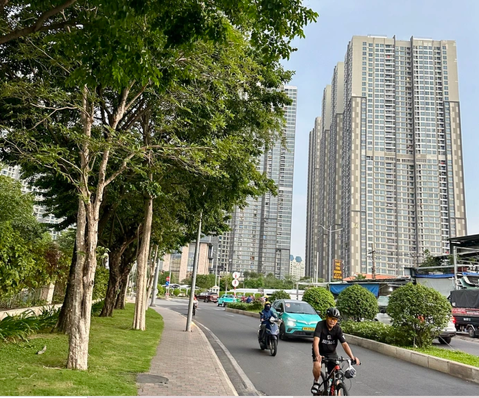 Địa ốc Đất Lành và Điền Quân Group nợ thuế hàng chục tỉ đồng tại TP HCM - Ảnh 1.