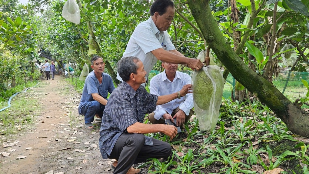 12,35 triệu tỷ đồng xây dựng nông thôn mới và giảm nghèo bền vững giai đoạn 2026-2035 - 1 12,35 triệu tỷ đồng xây dựng nông thôn mới và giảm nghèo bền vững giai đoạn 2026-2035 - 1