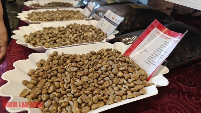 Giá cà phê hôm nay 4 - 9: Robusta tăng , Mexico mua cà phê Việt 90 lần - Ảnh 2.