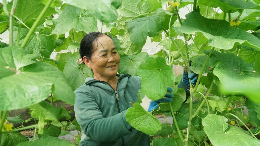 Tây Ninh đặt mục tiêu không còn hộ nghèo vào năm 2030 - 1
