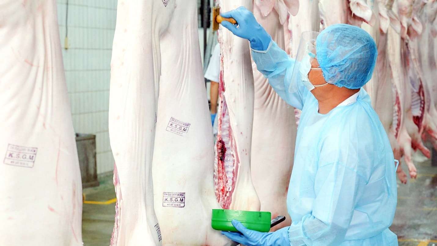 VISSAN đẩy mạnh số hóa: bước đi chiến lược trong thời kỳ 4.0- Ảnh 3.
