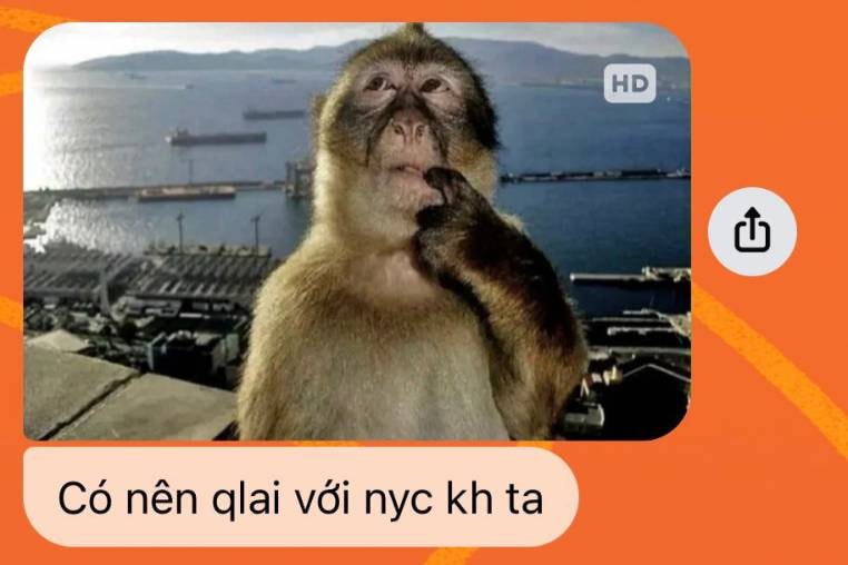 cach-moi-nguoi-su-dung-meme-con-khi.jpg