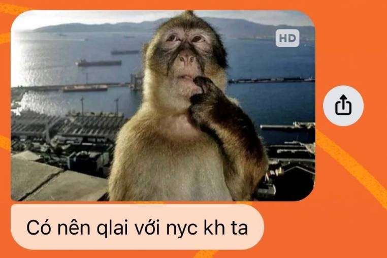 cach-moi-nguoi-su-dung-meme-con-khi.jpg