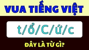 Vua Tiếng Việt cũng phải 'bó tay' trước câu đố này