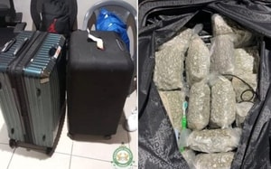 Phát hiện thứ trị giá 300 tỷ đồng trong vali của người đàn ông - Ảnh 2.