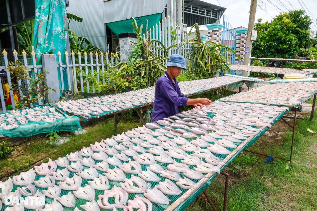 Biến loài cá quen thuộc thành đặc sản, nông dân miền Tây bán ra tận Hà Nội - 1 Biến loài cá quen thuộc thành đặc sản, nông dân miền Tây bán ra tận Hà Nội - 1