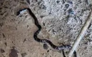 Được đưa vào nhà xác, người đàn ông bất ngờ "sống lại" - Ảnh 2.