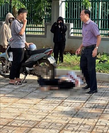 Chú thích ảnh