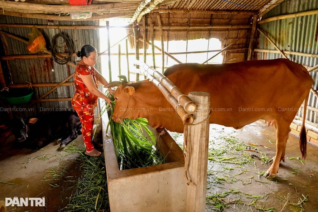 Cha nghèo phụ hồ bị ung thư ruột non, lo con thơ thất học, chịu cảnh mồ côi - 4