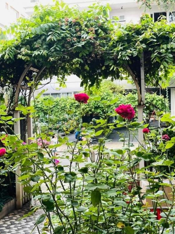 Mẹ Trung úy Quang trong 'Mưa đỏ' ngoài đời có cơ ngơi 4 tầng cực xinh- Ảnh 5.
