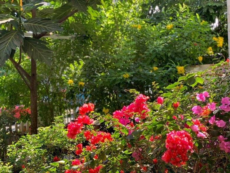 Mẹ Trung úy Quang trong 'Mưa đỏ' ngoài đời có cơ ngơi 4 tầng cực xinh- Ảnh 12.
