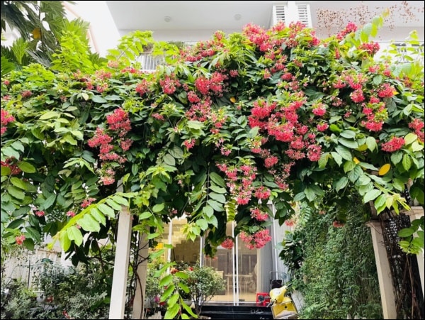 Mẹ Trung úy Quang trong 'Mưa đỏ' ngoài đời có cơ ngơi 4 tầng cực xinh- Ảnh 7.