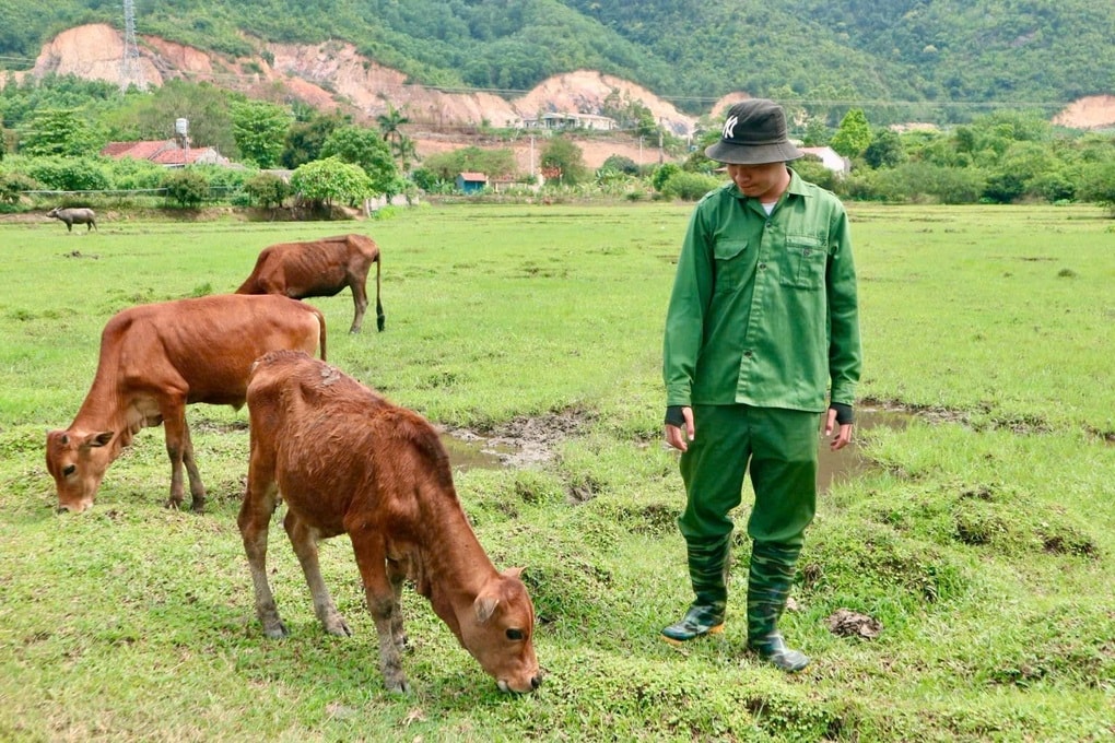 Nghệ An: Đa dạng hóa sinh kế, giảm nghèo bền vững - 1